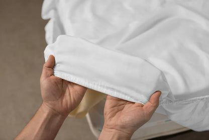 Husa Bumbac Cottone cu elastic