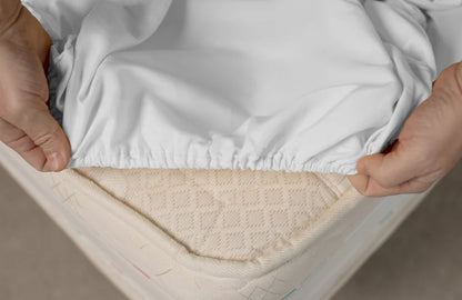 Husa Bumbac Cottone cu elastic