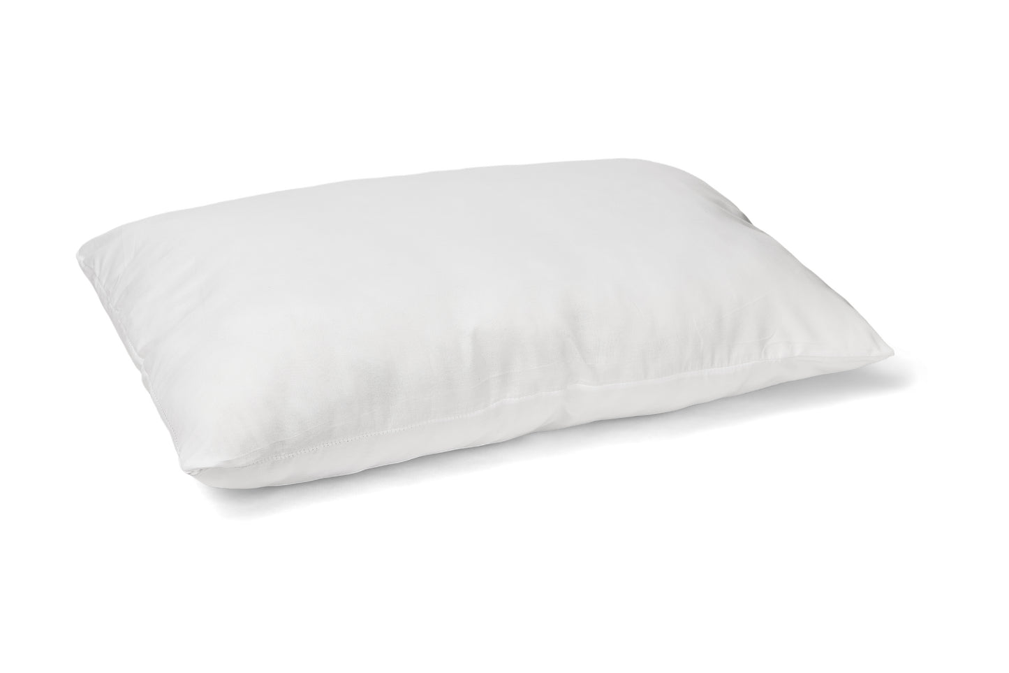 Perna Alba Nematlasata 50x70