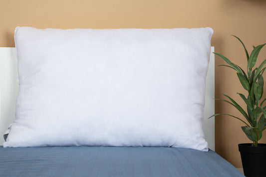 Perna Alba Nematlasata 50x70